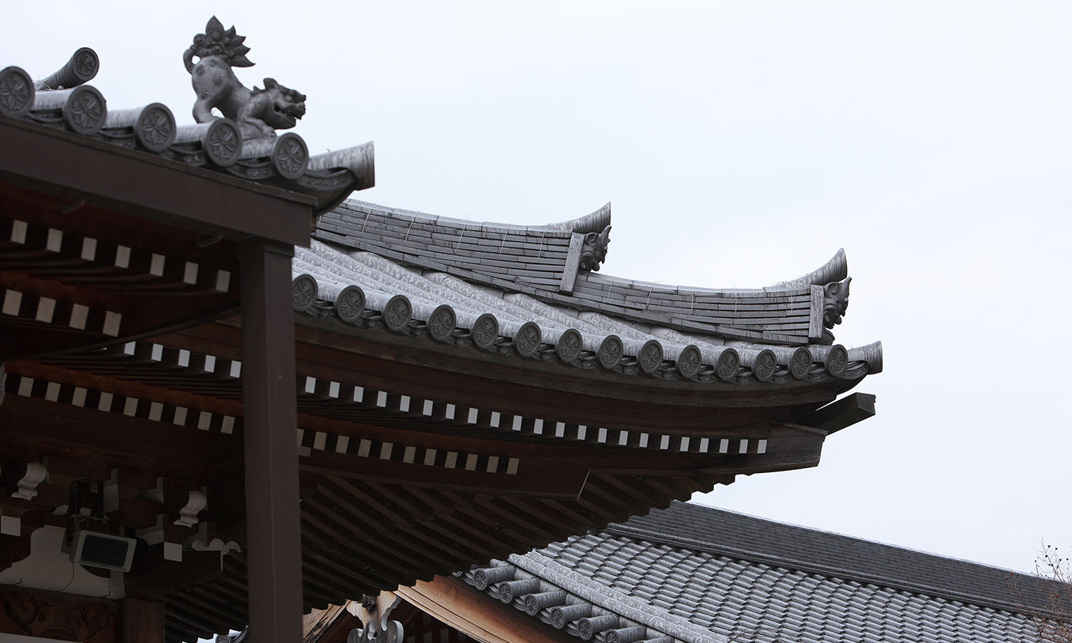 瓦屋根